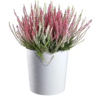 Donice - Eko doniczka na kwiaty z wkładem 30 cm, biała - miniaturka - grafika 1