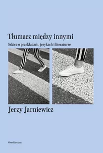 Tłumacz między innymi. Szkice o przekładach, językach i literaturze - E-booki - nauka - miniaturka - grafika 1