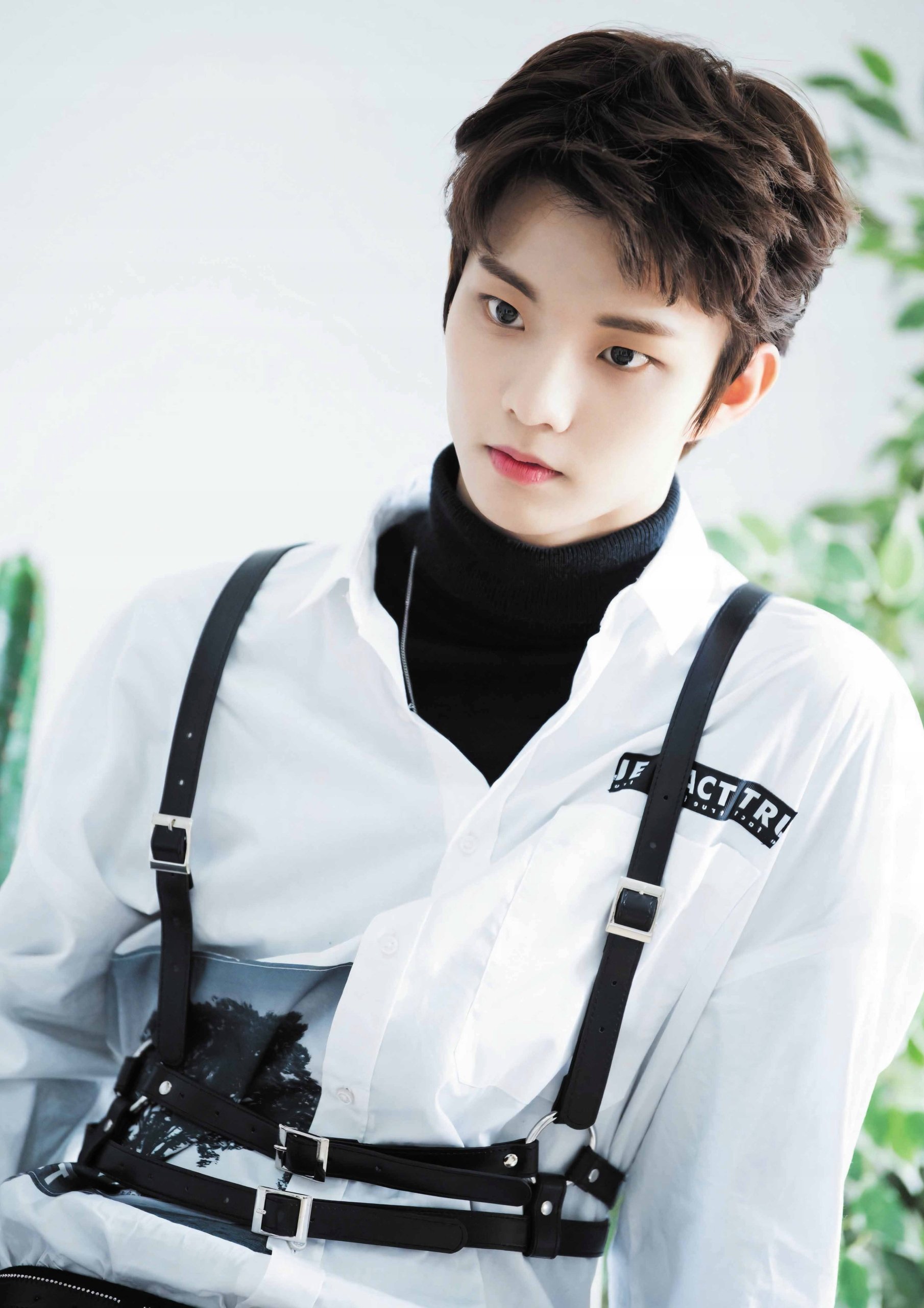 Plakat A1 K-Pop Kpop The Boyz Q