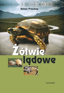 Żółwie lądowe - Poradniki hobbystyczne - miniaturka - grafika 1