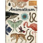 Albumy - przyroda - Dwie siostry Animalium. Muzeum Zwierząt - JENNY BROOM - miniaturka - grafika 1