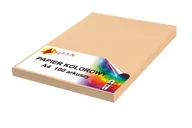 Szkolne artykuły papiernicze - Papier kolorowy A4 120g brzoskwiniowy 100 arkuszy - miniaturka - grafika 1
