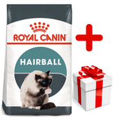 Sucha karma dla kotów - Royal Canin Hairball Care 10 kg - miniaturka - grafika 1