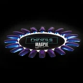 Lakiery hybrydowe - Neess Pyłek do paznokci hybrydowych Magpie Effect Granatowy 2g 3573 - miniaturka - grafika 1