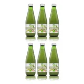 Soki i napoje niegazowane - Bio Food Sok z pietruszki kiszonej nfc Zestaw 6 x 300 ml Bio - miniaturka - grafika 1