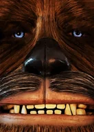 Plakaty - Face It! Star Wars Gwiezdne Wojny - Chewbacca - plakat 50x70 cm - miniaturka - grafika 1