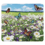 Pozostałe akcesoria kuchenne - Płyta ochronna na ścianę przy kuchence ze szkła hartowanego 50x56 cm – Maximex - miniaturka - grafika 1