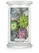 Świece - Kringle Candle Large Jar Succulents - świeca zapachowa 624 g - miniaturka - grafika 1