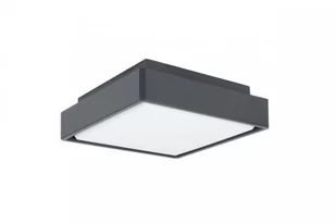 Beni D20x20 plafon elewacyjny ścienny 1xLED/18W ciemny popiel BN-KW200 - Lampy sufitowe - miniaturka - grafika 1