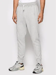Quiksilver Spodnie dresowe Rio EQYFB03215 Szary Slim Fit - Spodnie sportowe męskie - miniaturka - grafika 1