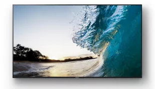 Sony Monitor 65 BRAVIA 4K B2B Display 3Yr PrimeSupp FW-65XE8501 - Monitory reklamowe i wyświetlacze Sony Monitor 65 BRAVIA 4K B2B Display 3Yr PrimeSupp FW-65XE8501 - Monitory reklamowe i wyświetlacze - miniaturka - grafika 1