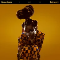 Rap, Hip Hop - Sometimes I Might Be Introvert - miniaturka - grafika 1