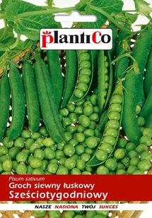 Plantico Groch konserwowy Sześciotygodniowy - Nasiona i cebule - miniaturka - grafika 1