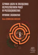 Technika - Czynnik ludzki w zarządzaniu bezpieczeństwem pracy w przedsiębiorstwie. Wybrane zagadnienia - miniaturka - grafika 1
