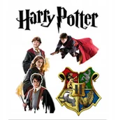 Zabawki kreatywne - Tatuaże Harry Potter - Zestaw Tatuaży Dla Dzieci nr. 44 - miniaturka - grafika 1