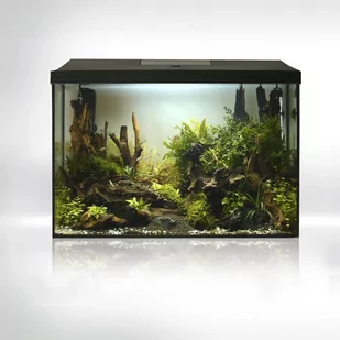 Aquael Leddy XL 60 Day&Night - zestaw akwariowy LEDDY PAP 60 XL D&N BLACK - Akwaria i zestawy akwarystyczne - miniaturka - grafika 1