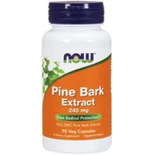 Witaminy i minerały dla sportowców - NOW Pine Bark Extract 240mg 90vegcaps - miniaturka - grafika 1