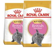 Inne - Royal Canin Kitten British Shorthair 34 2x10kg - miniaturka - grafika 1