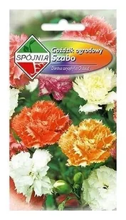 Goździk ogrodowy Chabaud 0.5 g Spójnia - Nasiona i cebule - miniaturka - grafika 1
