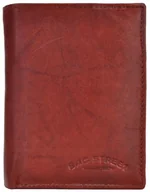 Portfele - MAHOŃ Portfel Męski SKÓRZANY Pionowy Młodzieżowy SKÓRA Bag Street KLASYCZNY - miniaturka - grafika 1