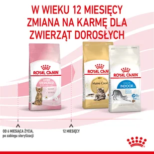 ROYAL CANIN  Kitten Sterilised 2kg + niespodzianka dla kota GRATIS! - Sucha karma dla kotów - miniaturka - grafika 7