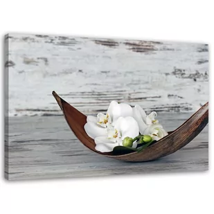 Obraz na płótnie, Białe kwiaty storczyka (Rozmiar 120x80) - Obrazy i zdjęcia na płótnie Obraz na płótnie, Białe kwiaty storczyka (Rozmiar 120x80) - Obrazy i zdjęcia na płótnie - miniaturka - grafika 1
