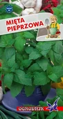 Nasiona i cebule - Mięta pieprzowa nasiona 0,1g / O / - miniaturka - grafika 1