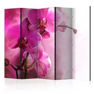 Parawany - Parawan 5-częściowy - Różowa orchidea II [Room Dividers] (rozmiar 225x172) - miniaturka - grafika 1