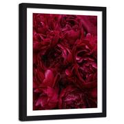 Plakaty - Plakat dekoracyjny w ramie czarnej FEEBY Piwonia kwiat zbliżenie, 70x100 cm - miniaturka - grafika 1