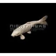 Jazz, Blues - Selection CD) Nighthawks - miniaturka - grafika 1