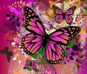 Malowanie po numerach - Norimpex Malowanie po numerach. Motyl 40 x 50 cm - miniaturka - grafika 1