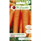 Nasiona i cebule - Marchew Koral 5g - miniaturka - grafika 1