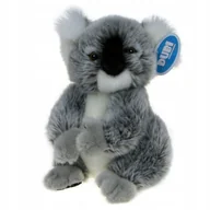 Maskotki i pluszaki - ZOO: maskotka pluszowa MIŚ KOALA 24cm (04146) - miniaturka - grafika 1