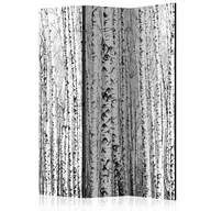 Parawany - Parawan 3-częściowy - Brzozowy las [Room Dividers] (rozmiar 135x172) - miniaturka - grafika 1