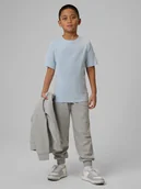 Spodnie i spodenki dla chłopców - 4F Spodnie dresowe joggery chłopięce - szare 164 (13-14 lat) - miniaturka - grafika 1