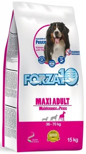 Forza10 Maintenance mokra 5x400g + 400g GRATIS (2,4kg) dla psa : smak - kurczak z cukinią i marchewką DOSTAWA 24h GRATIS od 99zł - Mokra karma dla psów - miniaturka - grafika 1
