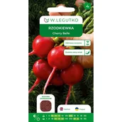 Nasiona i cebule - Rzodkiewka Cherry Belle nasiona W.Legutko - miniaturka - grafika 1