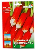 Nasiona i cebule - Rzodkiewka FLAMBOYANT 5g - miniaturka - grafika 1