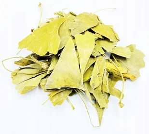 MIŁORZĄB DWUKLAPOWY LIŚĆ GINKGO BILOBA 200 G 100% - Przyprawy i zioła sypkie - miniaturka - grafika 1