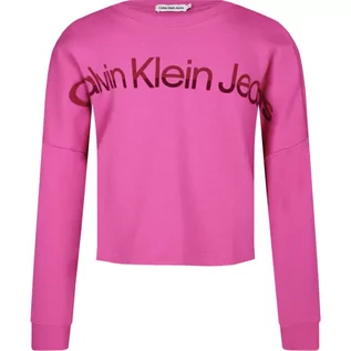Bluzy dla dziewczynek - CALVIN KLEIN JEANS Bluza | Regular Fit - grafika 1