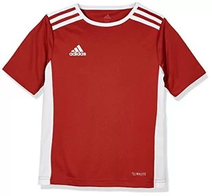 Adidas Koszulka Dziecięca Twój Nadruk roz 140 - Odzież sportowa dziecięca - miniaturka - grafika 1