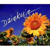 Aforyzmy i sentencje - Edycja Świętego Pawła DZIĘKUJĘ PEREŁKI - Opracowanie zbiorowe - miniaturka - grafika 1