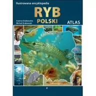 Poradniki hobbystyczne - Ilustrowana encyklopedia ryb - Grabowska Joanna, Michał Grabowski - miniaturka - grafika 1