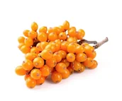 Pasze dla zwierząt - Rokitnik EQUIHERBS cały owoc 500g - miniaturka - grafika 1