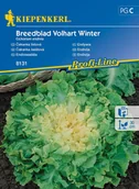 Nasiona i cebule - Endywia Breedblad Volhart Winter 8131 (St) - miniaturka - grafika 1