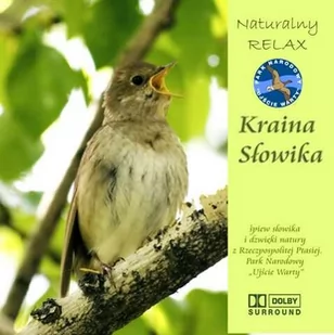 zbiorowa Praca Kraina słowika (ptasi $4piew bez podkładu muzycznego) - Muzyka relaksacyjna - miniaturka - grafika 1