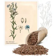Nasiona i cebule - Siemie lniane 1 kg - miniaturka - grafika 1