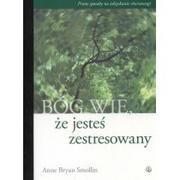 Poradniki psychologiczne - Salwator Bóg wie że jesteś zestresowany - Smollin Anne Bryan - miniaturka - grafika 1