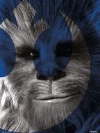 Zabawki kreatywne - Drukuj 30X40 Cm Gwiezdne Wojny Epizod Ix Chewbacca - miniaturka - grafika 1