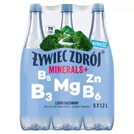 Woda - Żywiec Zdrój Minerals+ Napój lekko gazowany 6 x 1,2 l - miniaturka - grafika 1